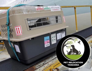 Expertise and Experience: We specialize in handling the complex process of moving pets. We are familiar with the legal requirements, documentation, and logistics involved in transporting animals across different regions of Tanzania.